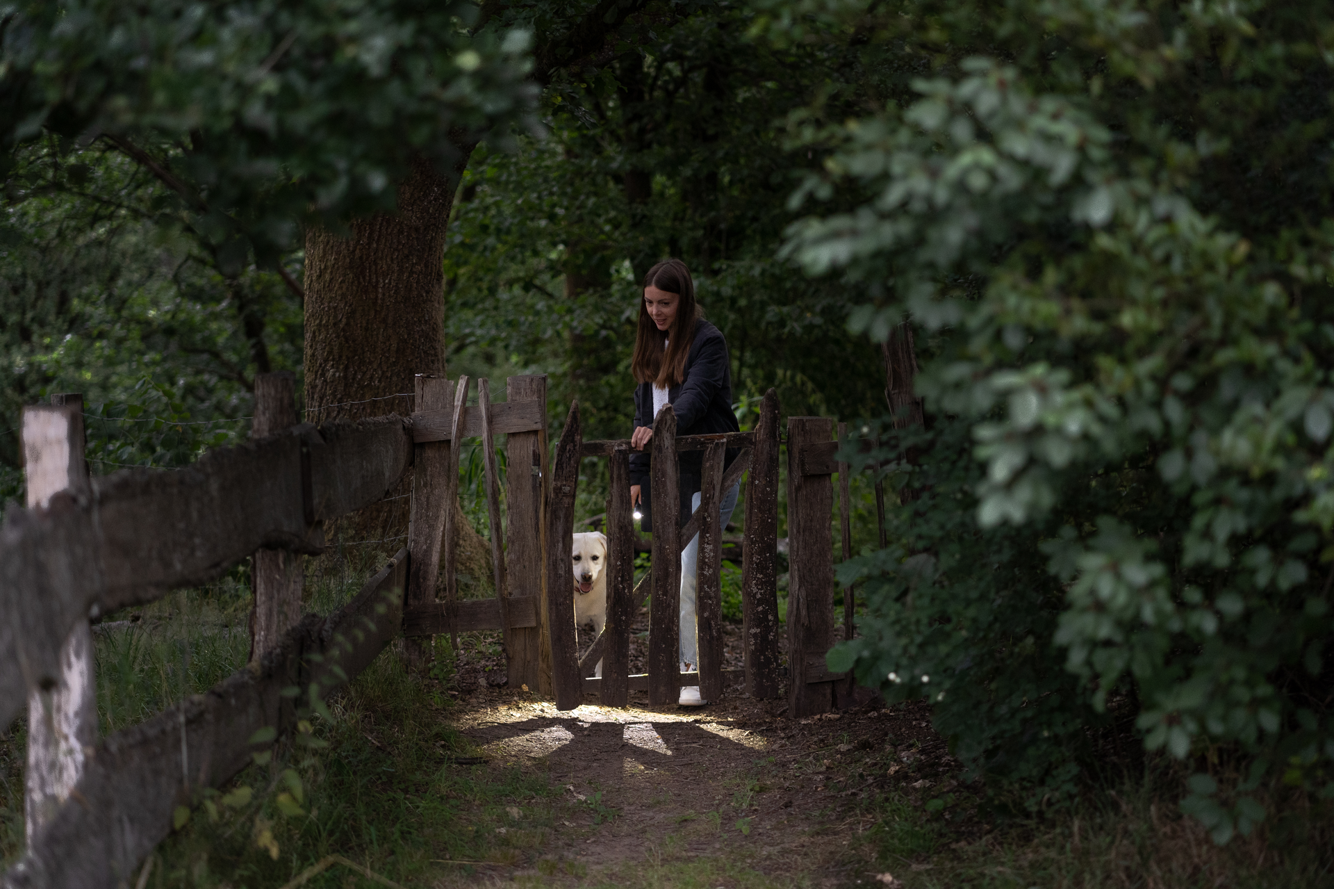 61mgApIsmaL._AC_SL1500_